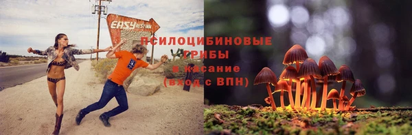 гашик Вязники