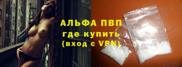 PSILOCYBIN Вяземский