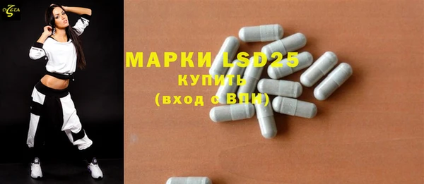 PSILOCYBIN Вяземский