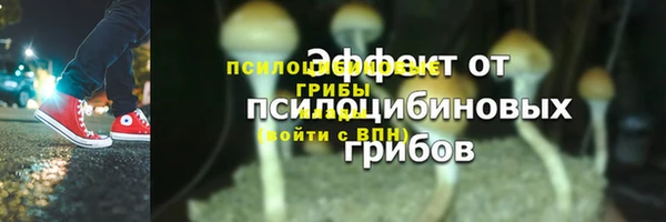 PSILOCYBIN Вяземский