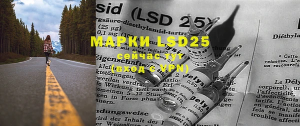 PSILOCYBIN Вяземский