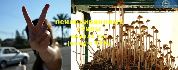 ГАЛЛЮЦИНОГЕННЫЕ ГРИБЫ Вязьма
