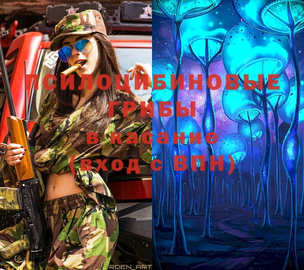 PSILOCYBIN Вяземский