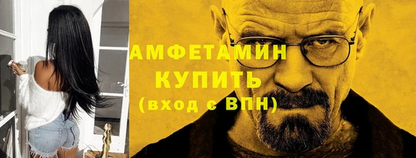 PSILOCYBIN Вяземский
